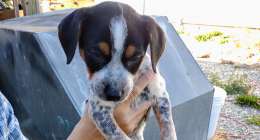 IMG 20231110 1407165362 260x140