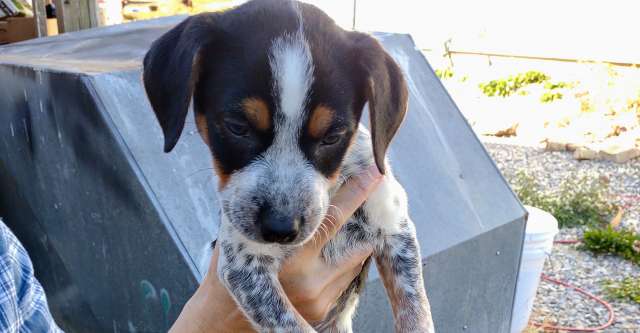 IMG 20231110 1407165362 640x333