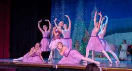 Nutcracker11 260x140