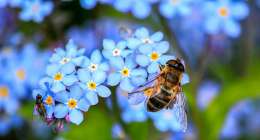 bee g60cd79301 1280 260x140