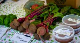 FarmersMarket2 260x140