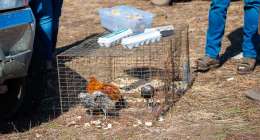 untitled shoot 7002348 260x140