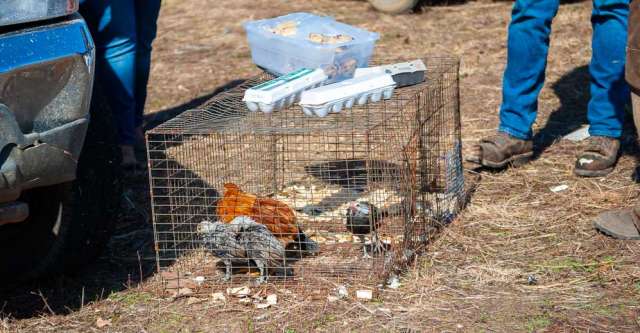 untitled shoot 7002348 640x333