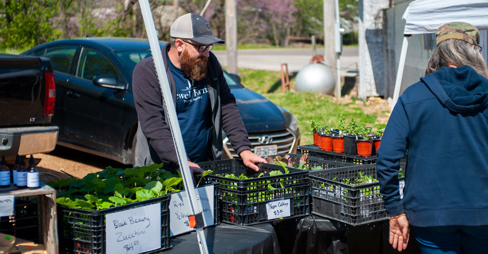 A variety of plants being sold at the Thayer Farmer's Market.