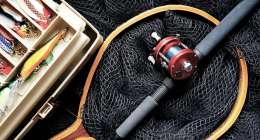 fishing 1572408 1280 260x140