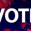 vote