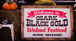 walnut festival 2018 9859 2 260x140