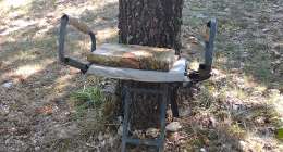 IMG 20240829 111154397 260x140