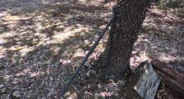 IMG 20240829 111313191 1 260x140