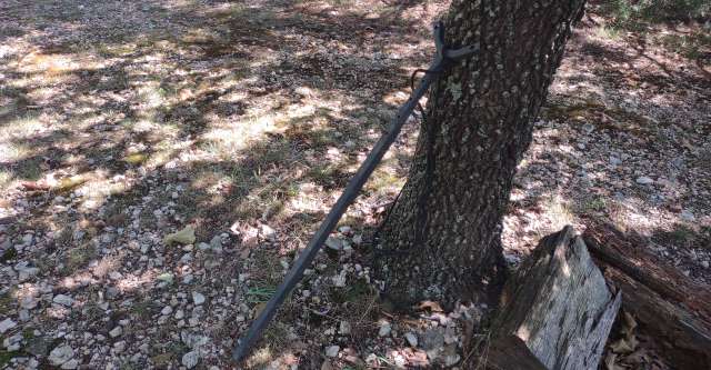 IMG 20240829 111313191 1 640x333