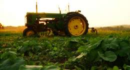 John Deere tractor 260x140
