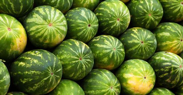Watermelons