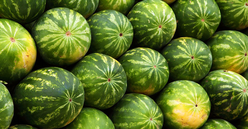 Watermelons