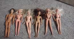 IMG 20240917 134909161 260x140