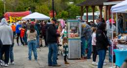 ThayerFallFest3 260x140