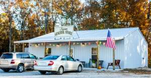 KommGenStore 1 300x156