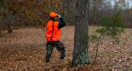 A hunter looking out across a clearing.