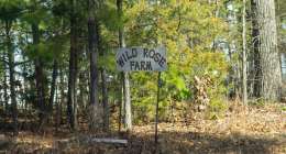 WildRoseFarm 1 260x140