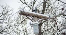 Power lines with snow on them.