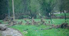 Leaves, grass, and sticks pile up on the fence from the flooding.