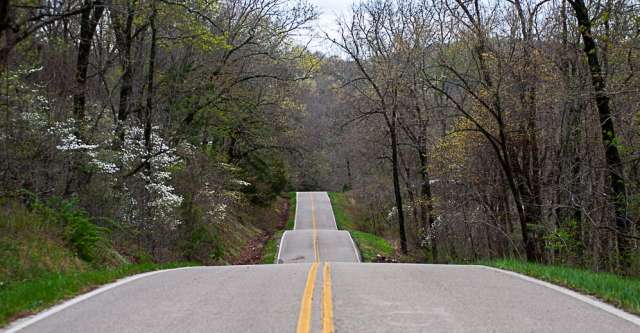 A road going straight through the forest.