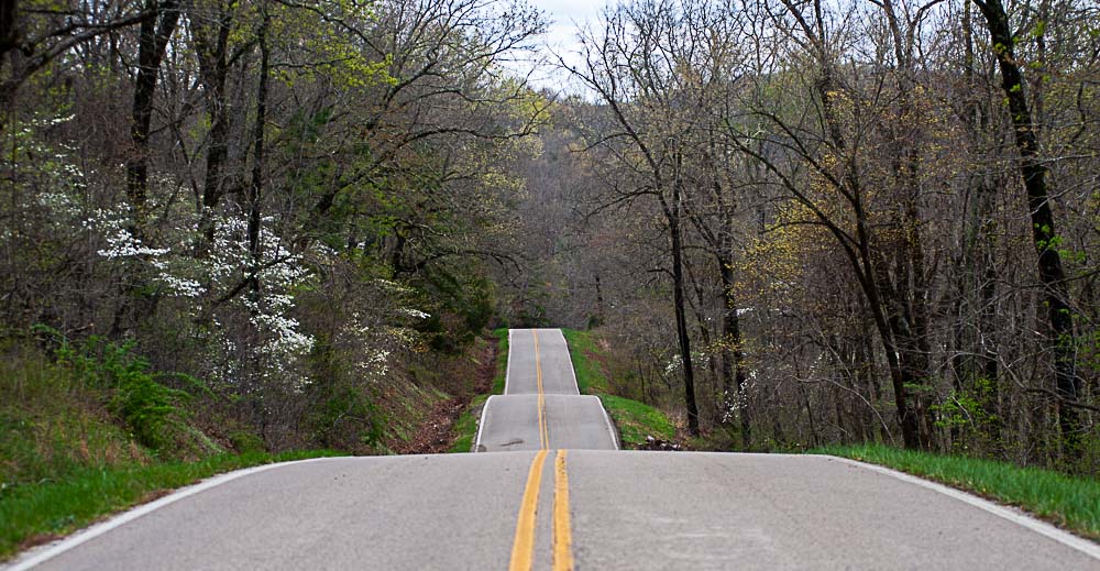 A road going straight through the forest.