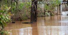 A picnic table submerged in the muddy floodwaters.