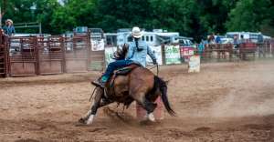 Rodeo2 300x156