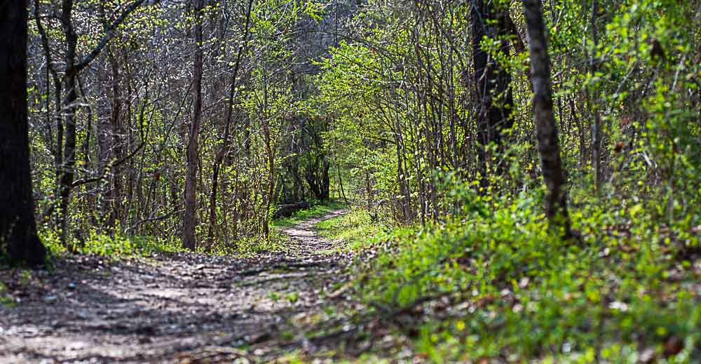 Hiking trails leading to Boze Mill.