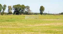 Country Meadows 717030 1 260x140