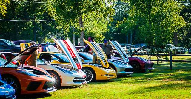All the Corvettes lined up in a row at the car show.