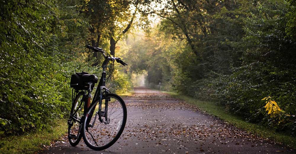 A bike sitting on a dirt road.