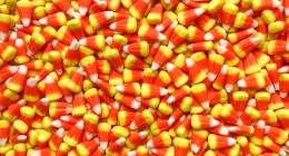 candy corn 3720431 1280 260x140