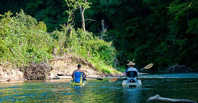 Kayakers floating on the scenic Eleven Point River.