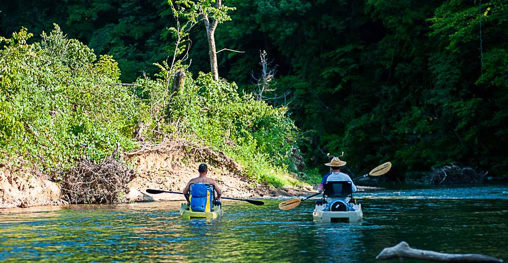 Kayakers floating on the scenic Eleven Point River.