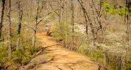 untitled shoot 5137 260x140