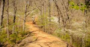 untitled shoot 5137 300x156