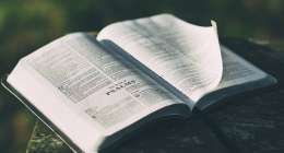 bible 1846174 1280 260x140