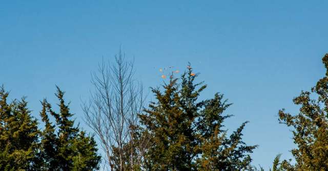 Trap shoot shattering