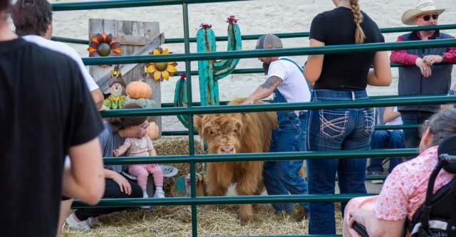 A young child and adult posing next to the cow.