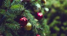 christmas 2595975 1280 260x140