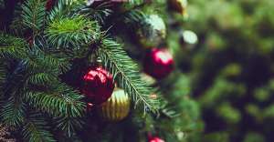 christmas 2595975 1280 300x156