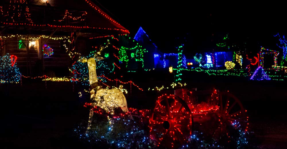 A wagon and reindeer decorated with lights.