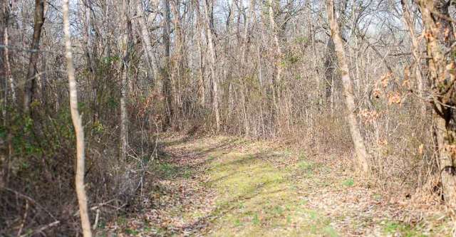 The trail leading down to Blue Spring and Morgan Spring by the Narrows.