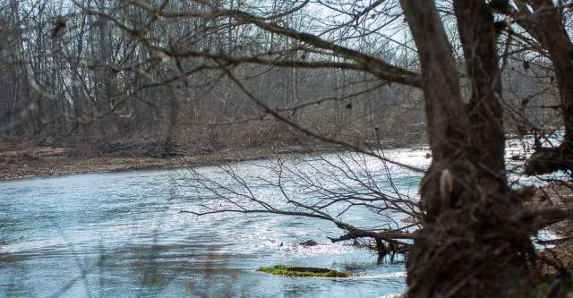 The Eleven Point River after Morgan Spring joins the river.