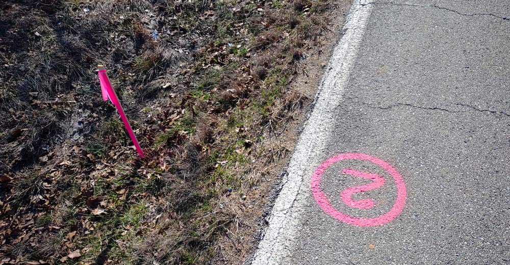 Markings on M Highway.