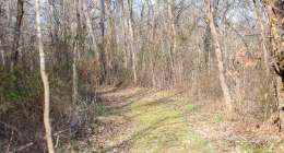 narrows untitled shoot 7006951 260x140