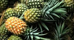 Pineapples