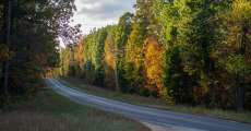 AA Highway in the fall