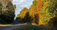 Highway AA winding through the Mark Twain National Forest.